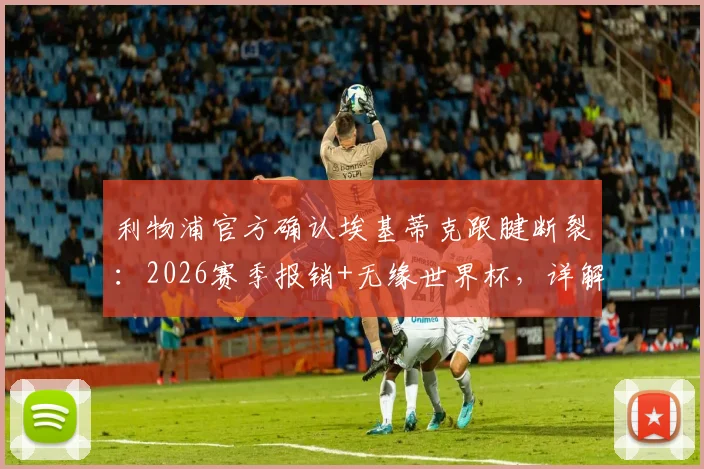 利物浦官方确认埃基蒂克跟腱断裂：2026赛季报销+无缘世界杯，详解康复时间与对球队影响