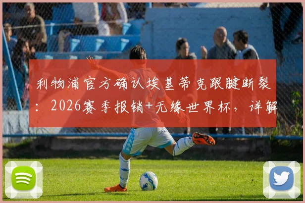 利物浦官方确认埃基蒂克跟腱断裂:2026赛季报销+无缘世界杯,详解康复时间与对球队影响